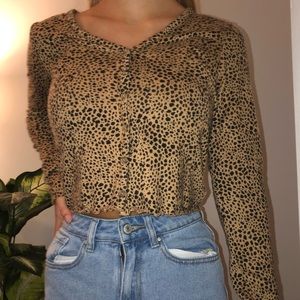 Cheetah Print Cropped Sweater